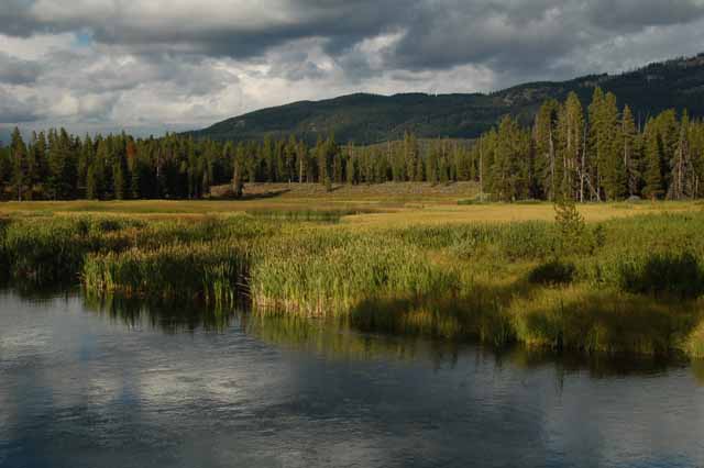 Polecat Creek